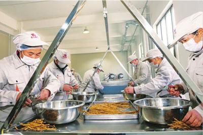 中药材加工的关键步骤与技术