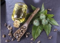 吉安市华天宝中草药生物制品厂 传承与创新中的中药材瑰宝
