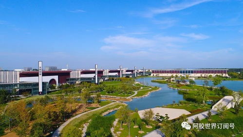 东阿这窝 以中药材文化打造工业旅游新典范